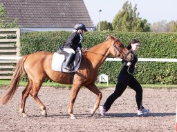 IMG_7154_web